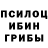 ГЕРОИН хмурый Alla Kudaeva