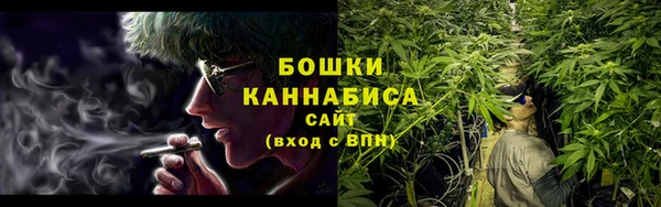 гидра Медвежьегорск