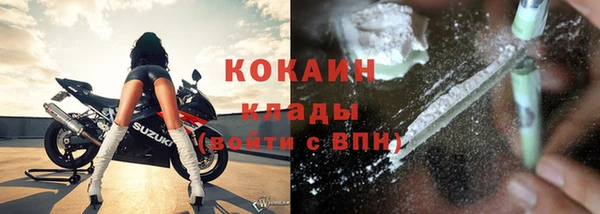 гидра Медвежьегорск