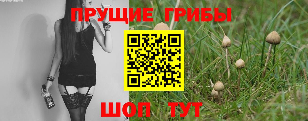 Псилоцибиновые грибы мицелий  Вход с VPN  Псилоцибиновые грибы Psilocybe  Петрозаводск 